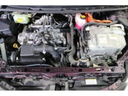 
										TOYOTA C-HR 2019 full									