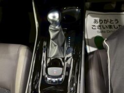 
										TOYOTA C-HR 2021 full									