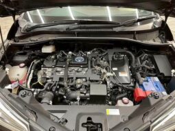 
										TOYOTA C-HR 2016 full									