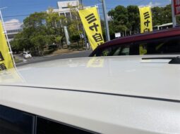 
										TOYOTA WISH 2009 full									