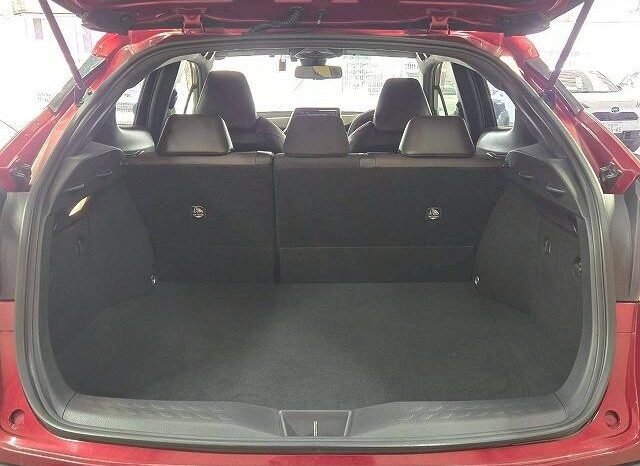 
								TOYOTA C-HR 2016 full									