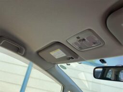 
										TOYOTA WISH 2009 full									