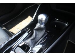 
										TOYOTA C-HR 2019 full									