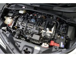 
										TOYOTA C-HR 2019 full									