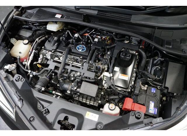 
								TOYOTA C-HR 2019 full									