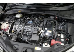 
										TOYOTA C-HR 2018 full									