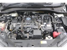 
										TOYOTA C-HR 2019 full									