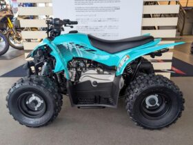 Yamaha YFZ50