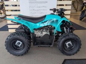 Yamaha YFZ50