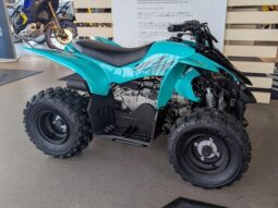 Yamaha YFZ50