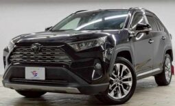 TOYOTA RAV4 2019