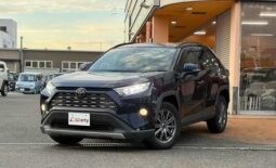 TOYOTA RAV4 2019
