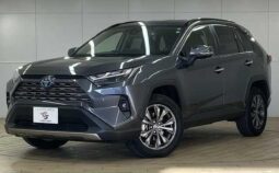 TOYOTA RAV4 2021