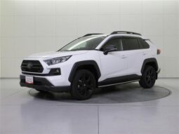 TOYOTA RAV4 2023