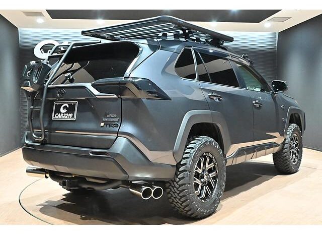 
								TOYOTA RAV4 2023 full									