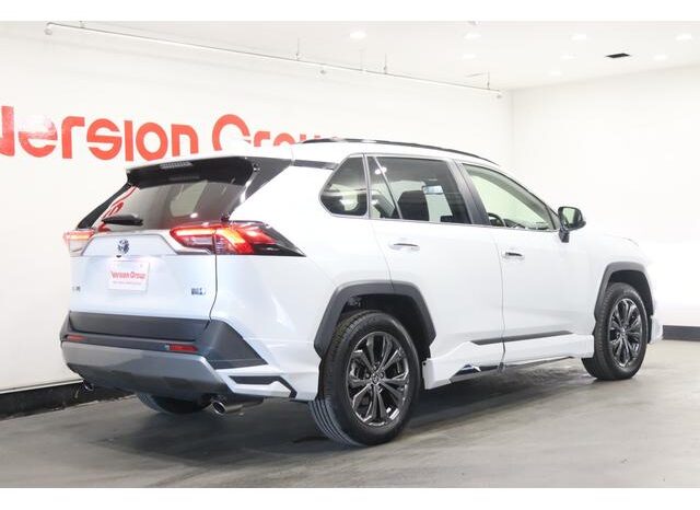 
								TOYOTA RAV4 2024 full									