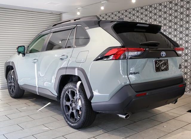 
								TOYOTA RAV4 2024 full									