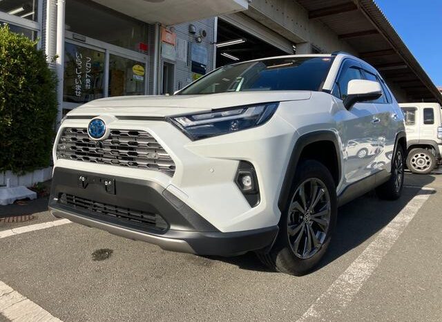 
								TOYOTA RAV4 2024 full									