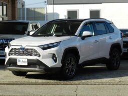 TOYOTA RAV4 2025