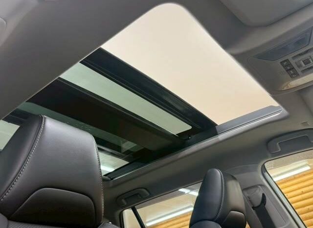 
								TOYOTA RAV4 2023 full									