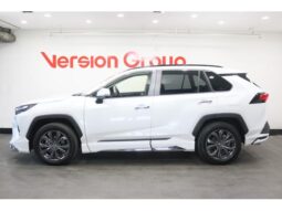 
										TOYOTA RAV4 2024 full									