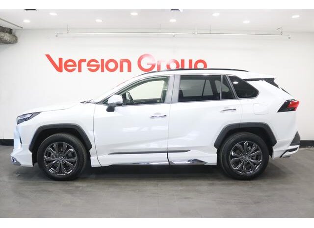 
								TOYOTA RAV4 2024 full									