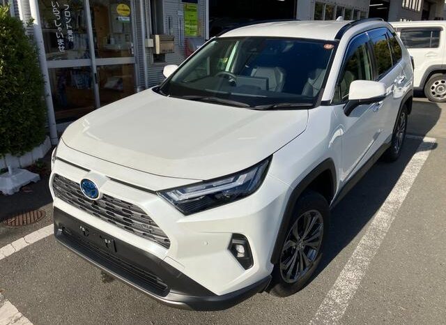 
								TOYOTA RAV4 2024 full									