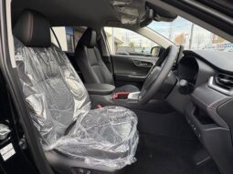 
										TOYOTA RAV4 2025 full									