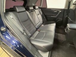 
										TOYOTA RAV4 2019 full									