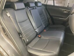 
										TOYOTA RAV4 2019 full									