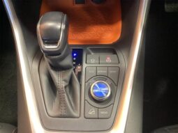 
										TOYOTA RAV4 2021 full									