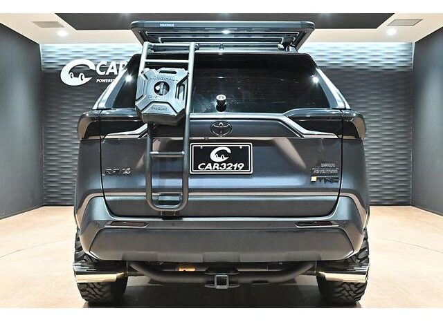 
								TOYOTA RAV4 2023 full									