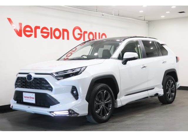 
								TOYOTA RAV4 2024 full									