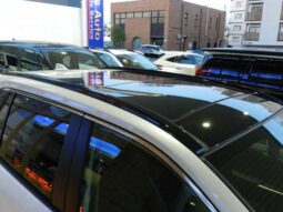 
										TOYOTA RAV4 2025 full									