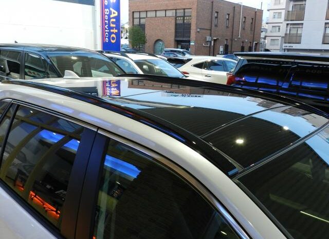 
								TOYOTA RAV4 2025 full									