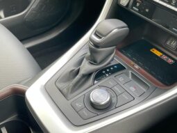 
										TOYOTA RAV4 2025 full									