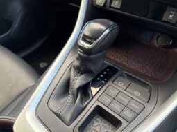 
										TOYOTA RAV4 2019 full									