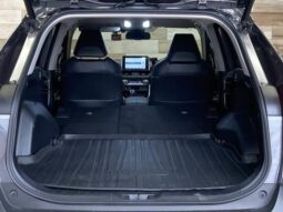 
										TOYOTA RAV4 2019 full									