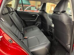 
										TOYOTA RAV4 2021 full									