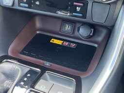 
										TOYOTA RAV4 2024 full									