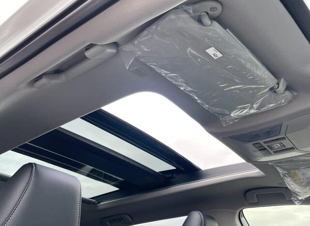 
								TOYOTA RAV4 2025 full									