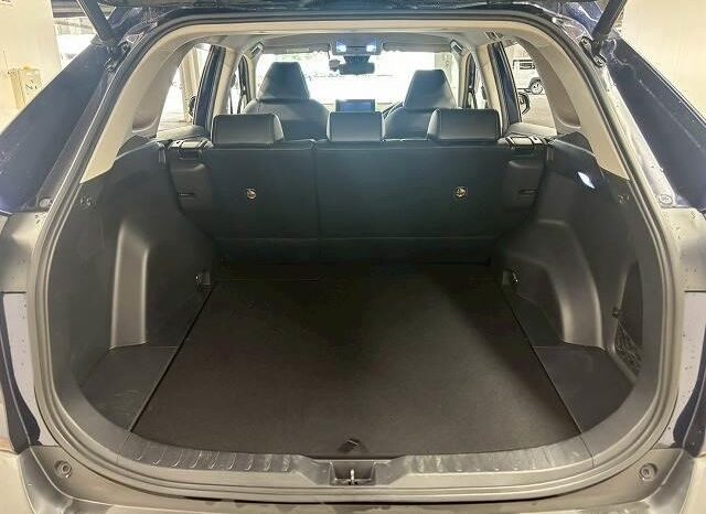 
								TOYOTA RAV4 2019 full									