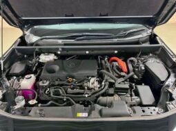 
										TOYOTA RAV4 2021 full									