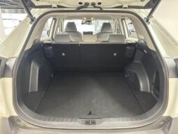 
										TOYOTA RAV4 2021 full									