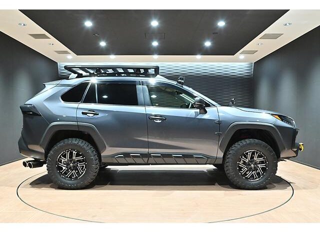 
								TOYOTA RAV4 2023 full									