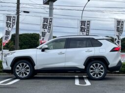 
										TOYOTA RAV4 2025 full									