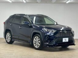 TOYOTA RAV4 2019