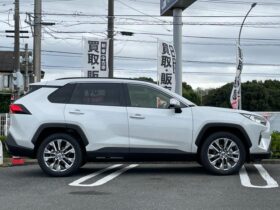 TOYOTA RAV4 2025