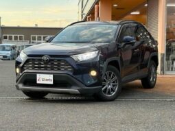 TOYOTA RAV4 2019
