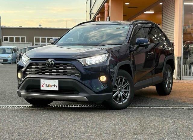 
								TOYOTA RAV4 2019 full									